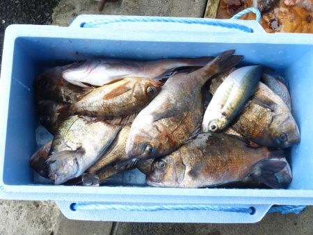 海釣り公園みかた 釣果