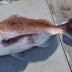 珀宝丸 釣果