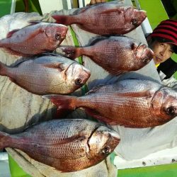 横内丸 釣果