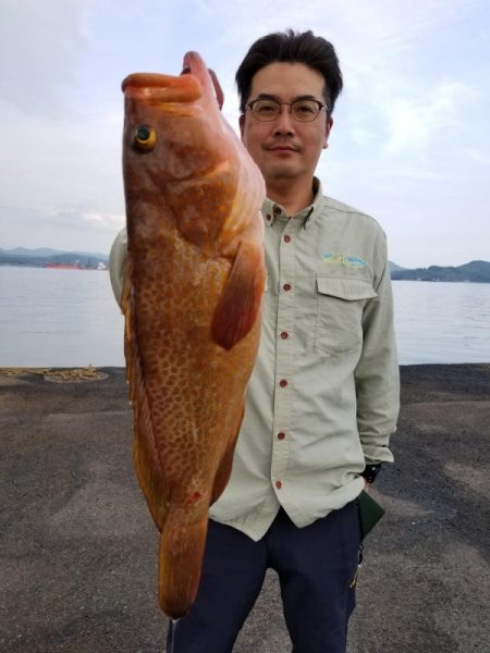 オーフリー 釣果