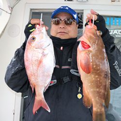 松本釣船２ 釣果