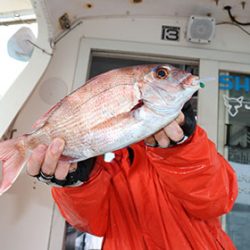 松本釣船２ 釣果