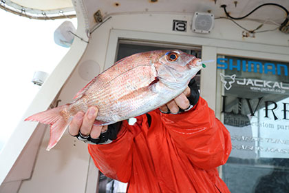 松本釣船２ 釣果