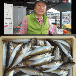 荒川屋 釣果