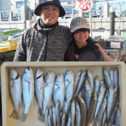 荒川屋 釣果