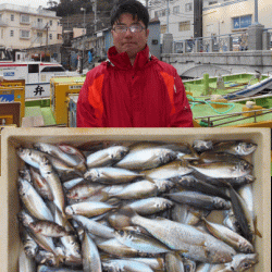 荒川屋 釣果