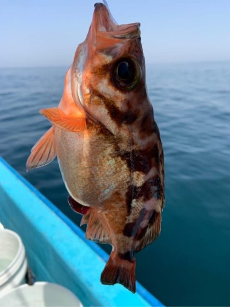 宝昌丸 釣果