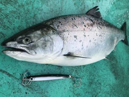 広進丸 釣果