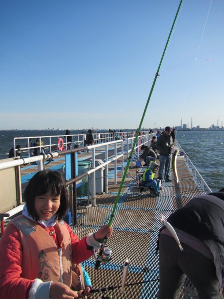 オリジナルメーカー海づり公園(市原市海づり施設) 釣果