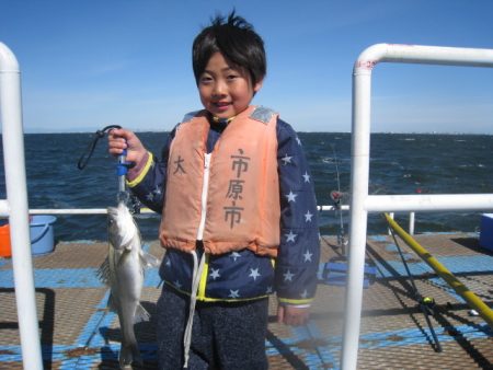 オリジナルメーカー海づり公園(市原市海づり施設) 釣果