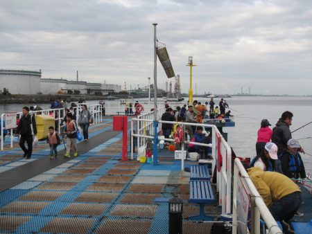 オリジナルメーカー海づり公園(市原市海づり施設) 釣果