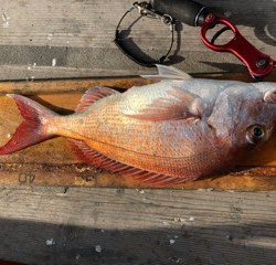 幸吉丸 釣果