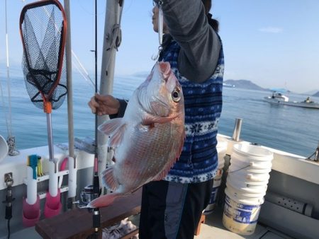 遊漁船高橋 釣果