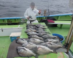 久里浜黒川本家 釣果