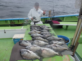 久里浜黒川本家 釣果