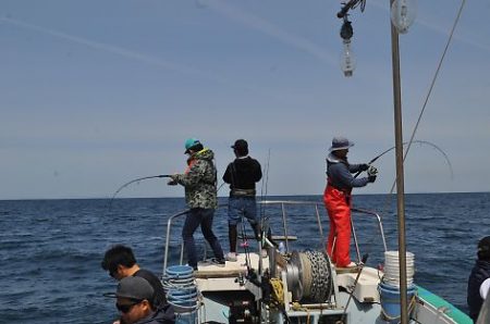 八海丸 釣果