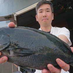 伊豆下田フィッシング 釣果