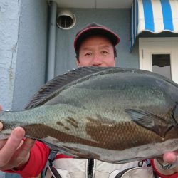 伊豆下田フィッシング 釣果