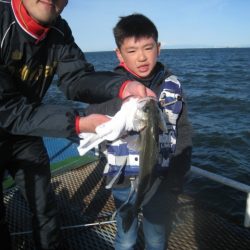 オリジナルメーカー海づり公園(市原市海づり施設) 釣果