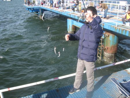 オリジナルメーカー海づり公園(市原市海づり施設) 釣果