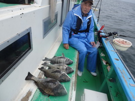 久里浜黒川本家 釣果