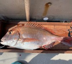 白墨丸 釣果