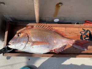 白墨丸 釣果