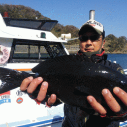 宮島丸 釣果