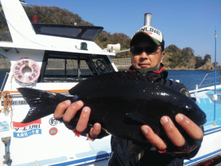 宮島丸 釣果