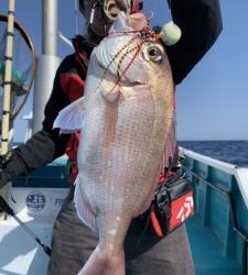 愛海丸 釣果