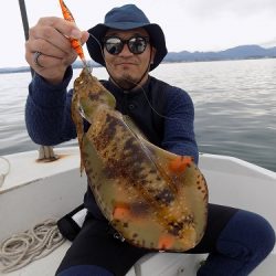 フィッシングボート空風（そらかぜ） 釣果