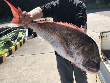 喜平治丸 釣果