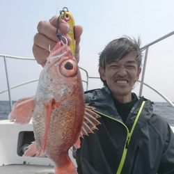 ブルーピア 釣果