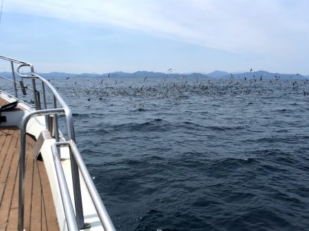 オーシャンズ　京都 釣果