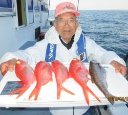 太郎丸 釣果