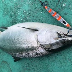 広進丸 釣果