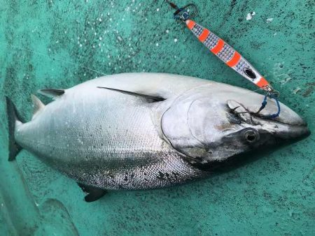 広進丸 釣果