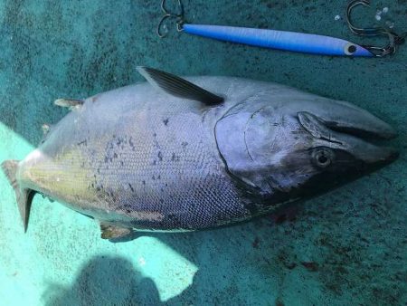 広進丸 釣果