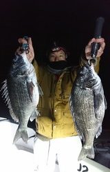 明康丸 釣果