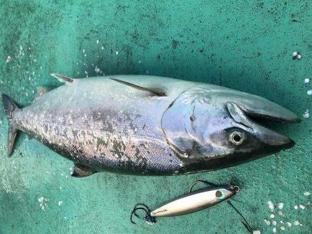 広進丸 釣果