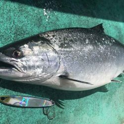 広進丸 釣果