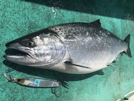 広進丸 釣果