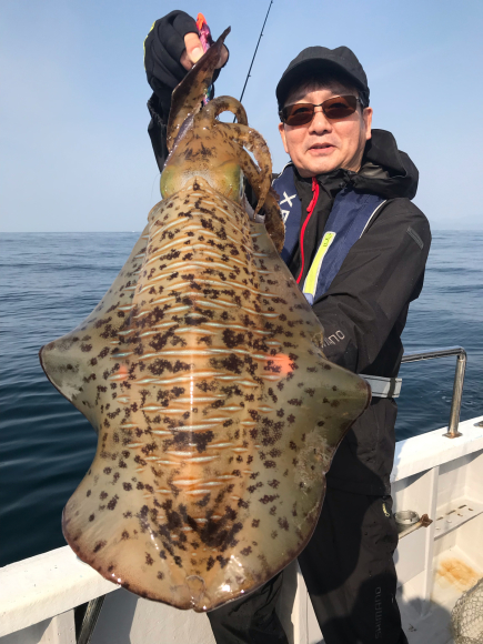 まると屋 釣果