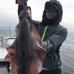 まると屋 釣果