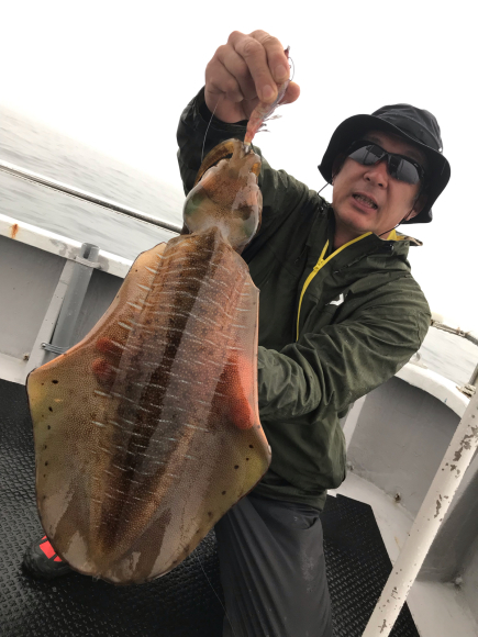 まると屋 釣果