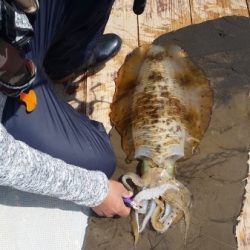 小海途 釣果