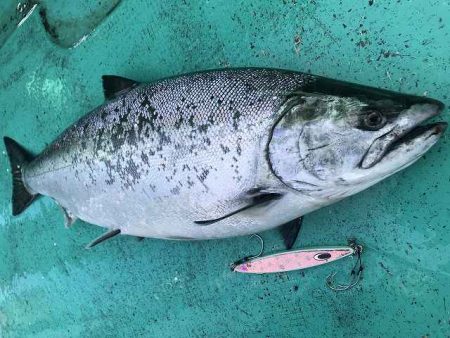 広進丸 釣果