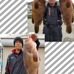 桑田観光 釣果