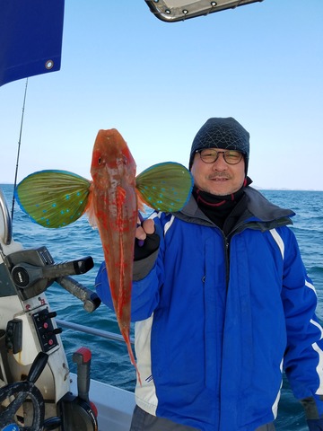 遊漁船　ニライカナイ 釣果