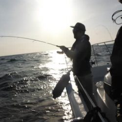 開進丸 釣果